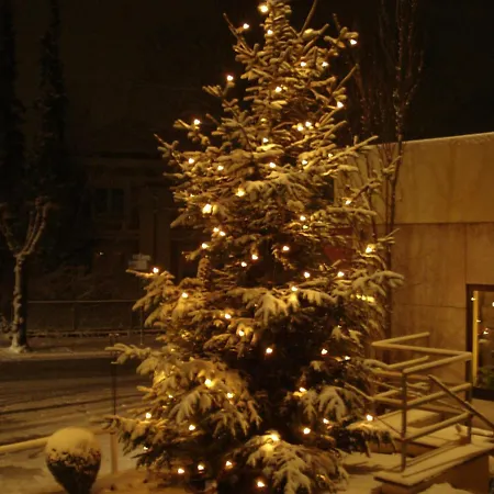 فندق Fuerstenberg 3*